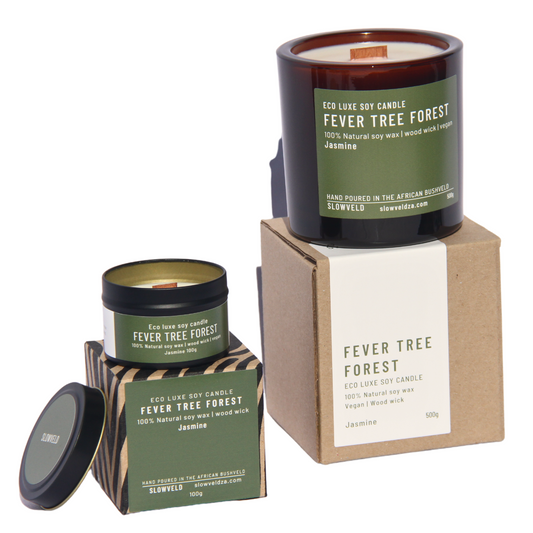 Fever tree Forest Soy Candle 500g